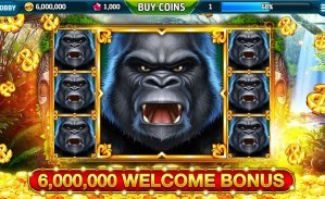 Dashboard tier turbo x500 menampilkan status VIP, poin loyalitas, dan benefit eksklusif